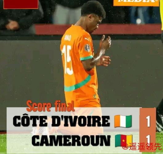 非洲杯-B·图雷绝杀 科特迪瓦3-2加蓬小组第一