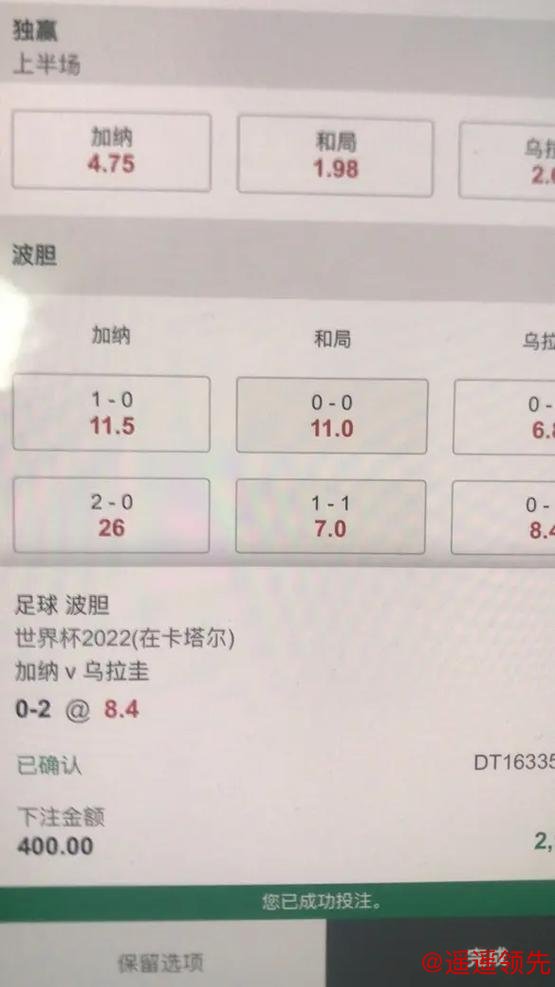 体验最佳世界杯下注软件的顶级指南