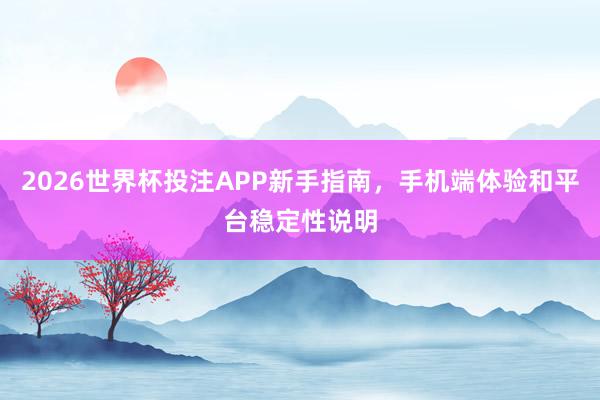 2026世界杯投注APP新手指南，手机端体验和平台稳定性说明