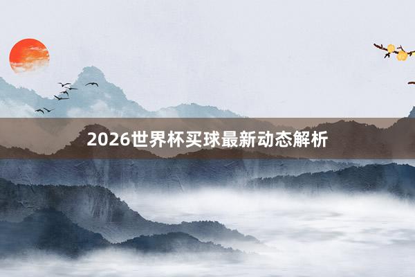 2026世界杯买球最新动态解析